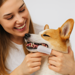 20250702_1313_Hundezaehne_Reinigen_remix_01jz5dcpgmeg68g2ctqsx8dmf3.png Tooth Cleaning Finger Wipes for Pets