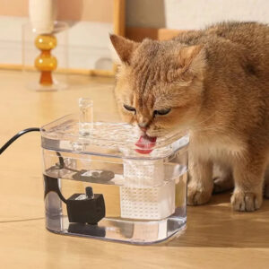 2_2407c060-eb6c-4d4b-8b33-04e203920645.jpg Pet Water Dispenser for Clean and Fresh Water
