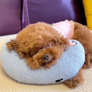 Groot_1.webp.jpeg CozyPaws Cushion for Dogs - RelaxPad