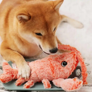 IMG_3207.jpg Wiggly Lobster - Interactive Dog Toy