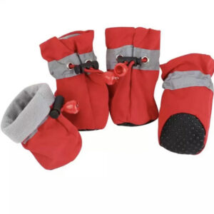 image00003.webp.jpeg Winter Paw Protection – Paw Walks
