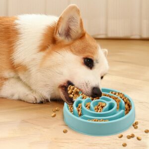 main-image-5_12cfaedb-c452-42c9-ac04-b3a2c540b0e3.jpg Slow Feed Pet Bowl