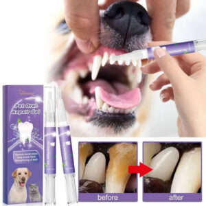 main-image-5_cd617e59-876f-4e91-904a-28807ee854dc.jpg Dental Care Pen for Pets