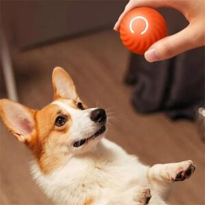 wow_1.jpg Interactive Jumping Ball for Dogs